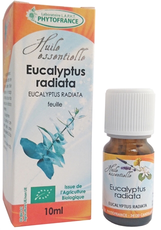 HE EUCALYPTUS RADIATA BIO